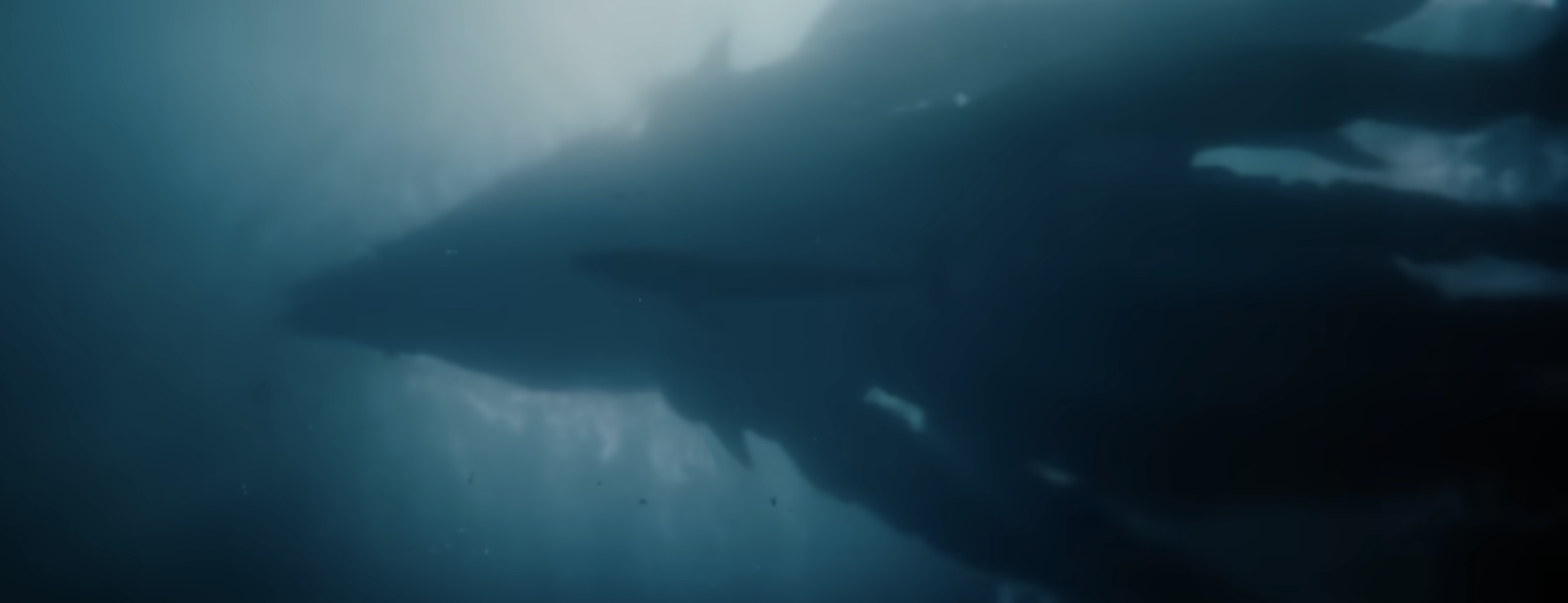 Titan X On The Horizon: New 'Monarch: Legacy Of Monsters' Teaser Reveals Chilling New Creatures